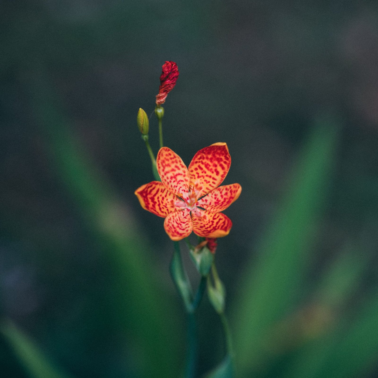 To the Entrepreneur Who Feels Behind