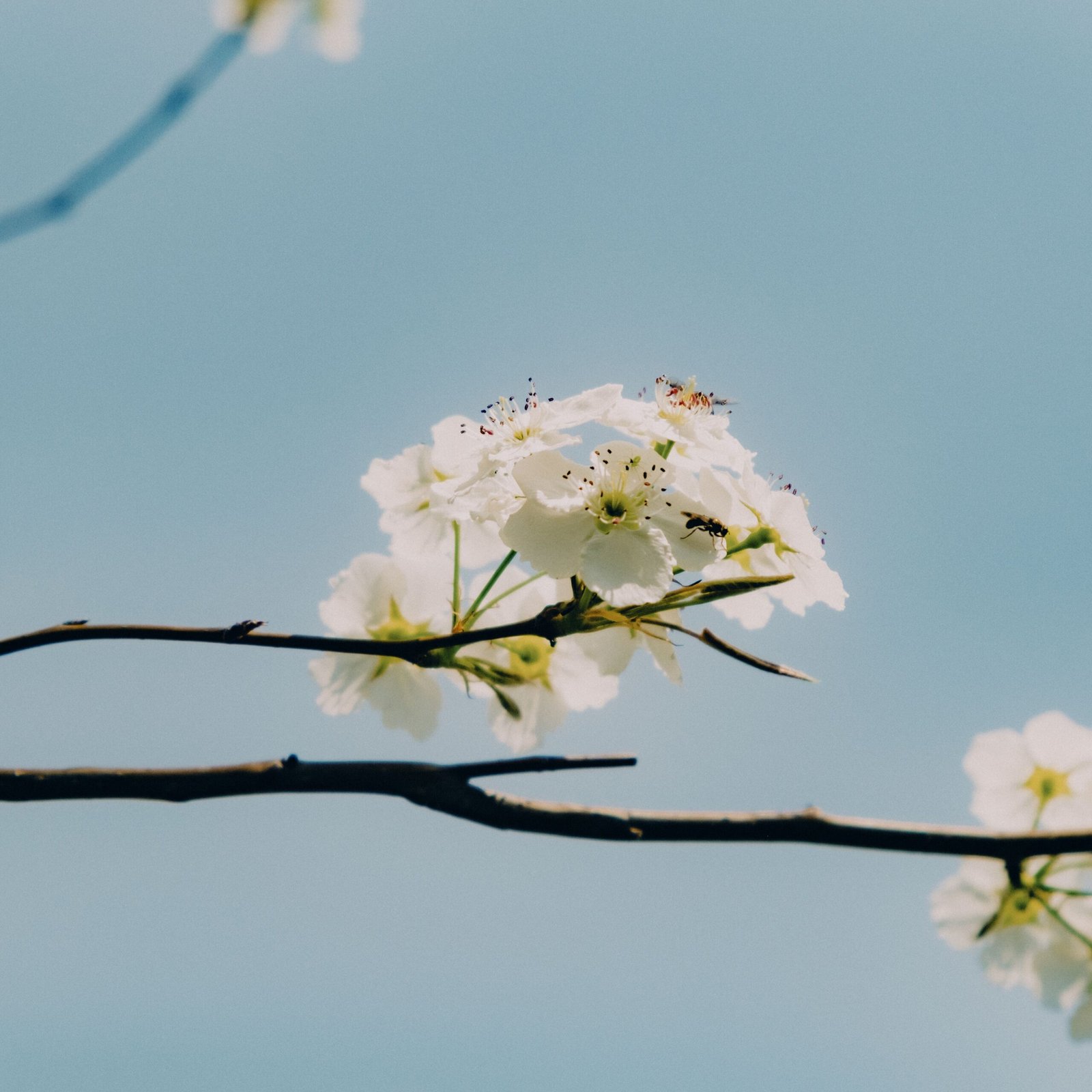 To the Woman Who Is Starting Over